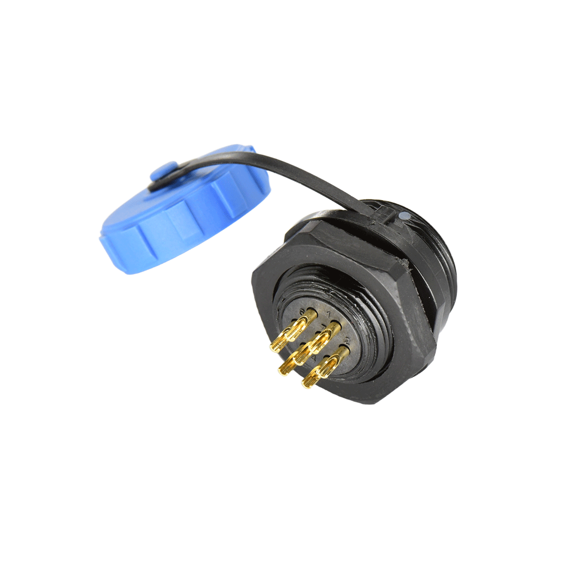 DP1712P703.png