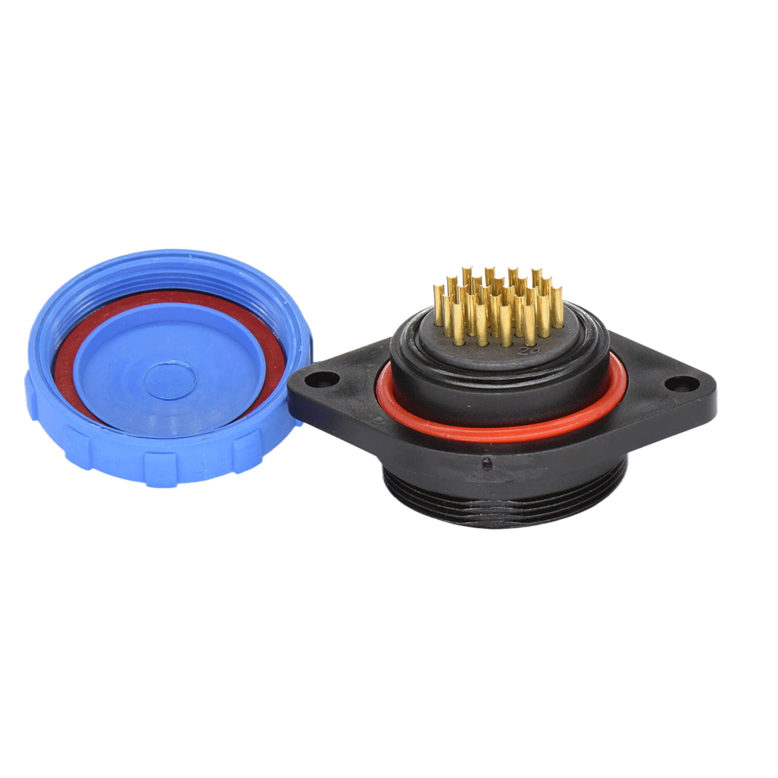 DP2913P2404.png