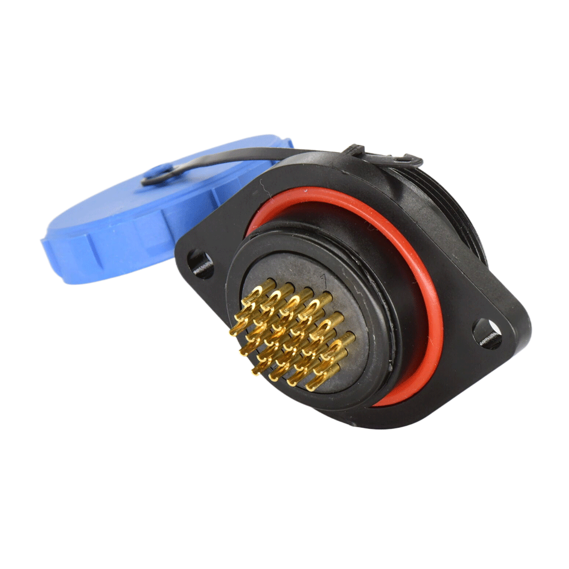 DP2913S2405.png