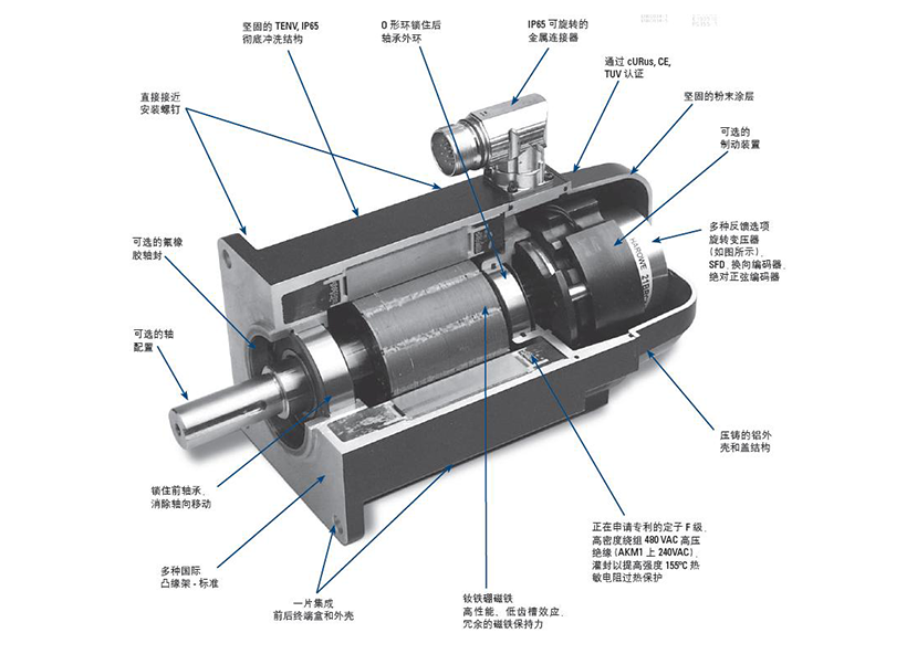 伺服三组件驱动行业变革：2025年中国伺服系统的市场分化与未来展望